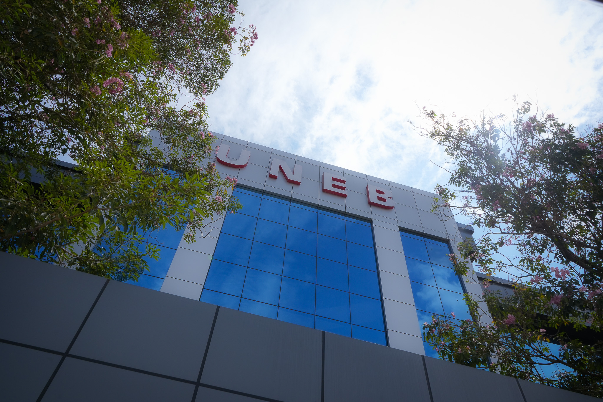 GOVERNMENT TO MERGE UNEB WITH NCDC